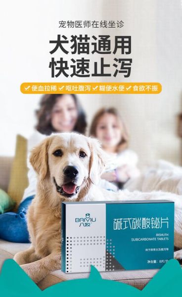 狗翻肠子什么症状吃啥药,小狗翻肠子几天能挺过来
