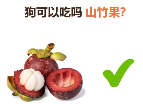 狗能不能吃山竹壳,狗能吃山竹没
