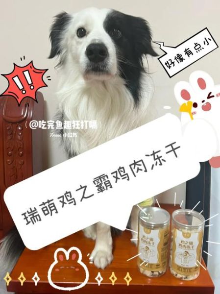 狗能不能吃草莓罐头,狗能不能吃草莓冻干