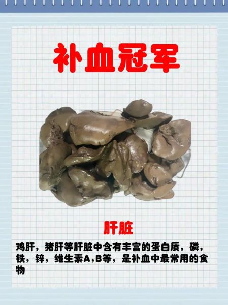 猫咪贫血吃什么补血最快,猫咪贫血吃什么最好最快的补血