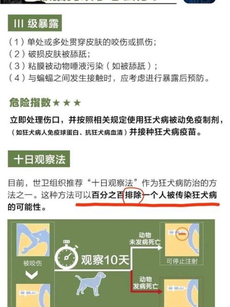 猫咬十日观察法狂犬病毒,猫咬十日观察法有用吗