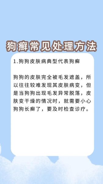 白醋治疗狗狗皮肤病绝了,狗癣怎么弄