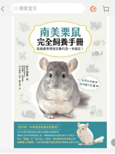 龙猫实际上是什么动物,养龙猫的好处和坏处