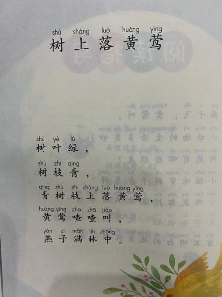 什么的狗熊一年级,什么的狗熊什么什么看风景填词语
