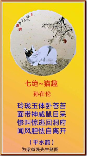 关于猫的诗句,关于猫的诗句及表达感情