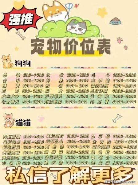 宠物美容师培训学校,西施犬多少钱一只幼崽