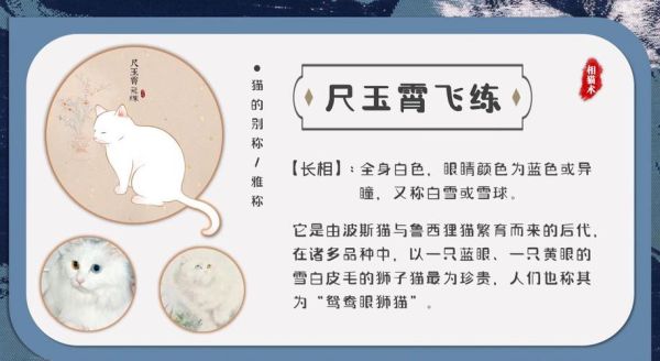 尺玉霄飞练是什么意思,尺玉霄飞练是什么猫