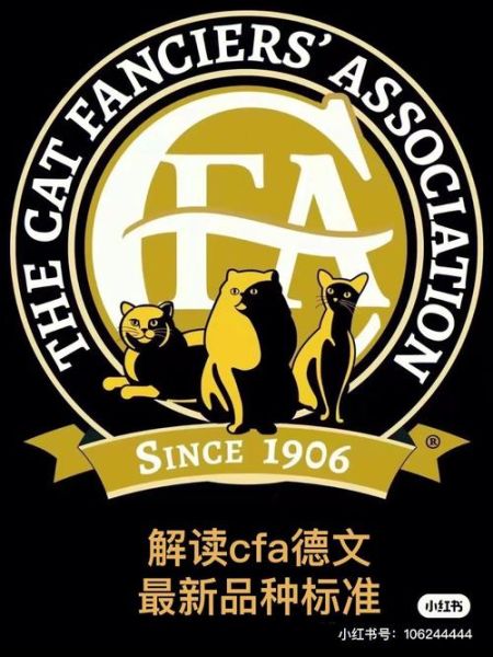 德文名字生成器,德文名字的意义