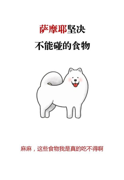 狗不吃食怎么办越来越瘦,狗不吃食怎么办还没精神