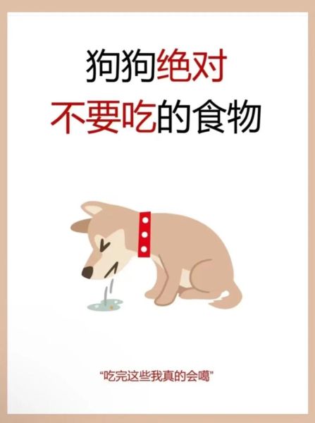 狗不吃食怎么办越来越瘦,狗不吃食怎么办还没精神