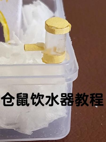 用矿泉水瓶自制一个仓鼠饮水器,仓鼠木屑怎么自制简单