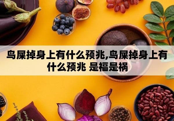 鸟屎掉身上有什么预兆,鸟屎掉身上有什么说法