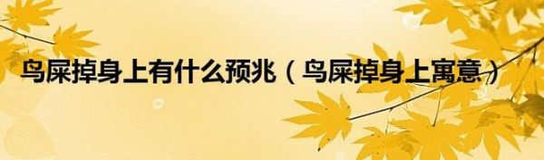 鸟屎掉身上有什么预兆,鸟屎掉身上有什么说法