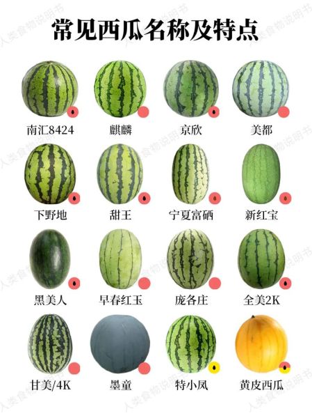 西瓜什么品种最好,最甜,早熟西瓜有哪些品种