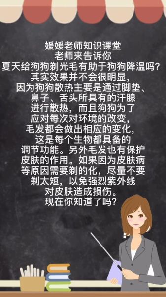 夏天给狗狗剃毛降温有用吗蚂蚁庄园,夏天给狗狗剃光毛有助于给狗狗降温吗