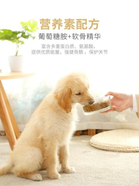 大丹犬吃什么狗粮最好,大丹犬吃什么狗粮好