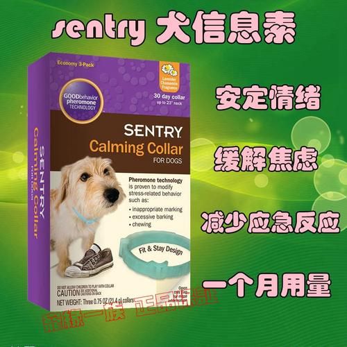 宠物信息网,宠物信息素