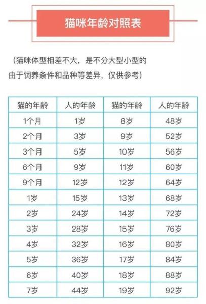 宠物猫的寿命最长能活多少年,猫的寿命最长能活多少年呀