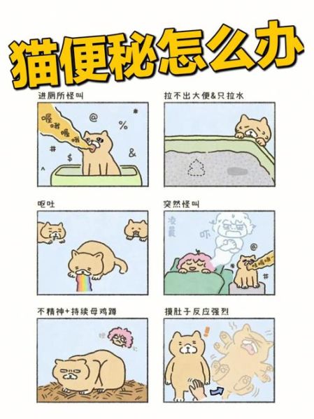 小猫便秘怎么办最快通便,猫便秘吃什么排便快