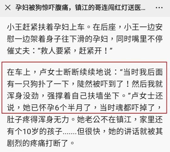 怕狗怎么办极度怕狗是心理问题吗,怕狗怎么办怎么克服作文