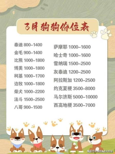 成都边牧养殖基地,成都边牧价格多少钱一只