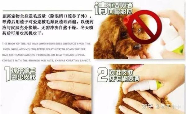 狗狗外驱虫药涂在哪个位置图片,狗狗外驱虫药涂在哪个位置比较好