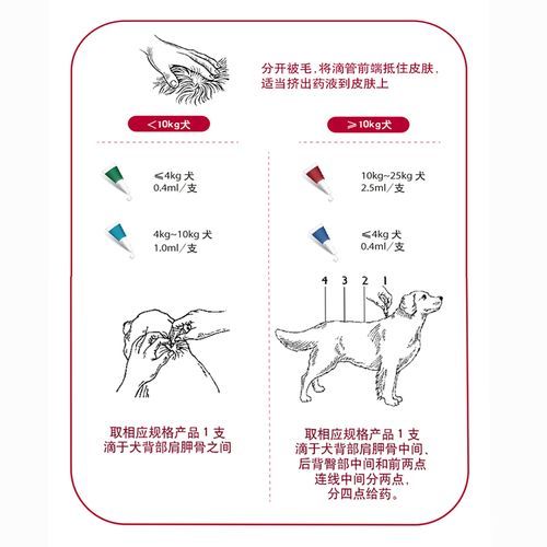狗狗外驱虫药涂在哪个位置图片,狗狗外驱虫药涂在哪个位置比较好