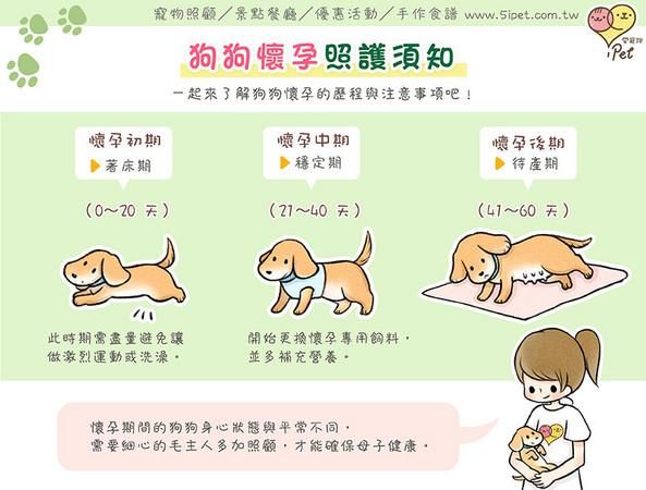 狗的妊娠期多长,狗的妊娠期平均多少天