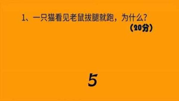 猫见了老鼠为什么拔腿就跑打一生肖,猫见了老鼠为什么拔腿就跑来跑去