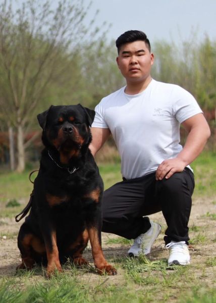 防暴犬厉害吗知乎,防暴犬作用
