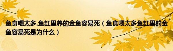 鱼食喂太多鱼缸里的鱼容易死是因为什么,鱼食喂太多,鱼容易死,为什么