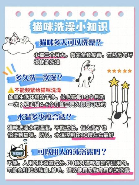 四个月的小猫能洗澡吗,小猫能洗澡吗怎样洗