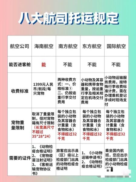 宠物猫能上飞机吗,猫能上飞机吗多少钱