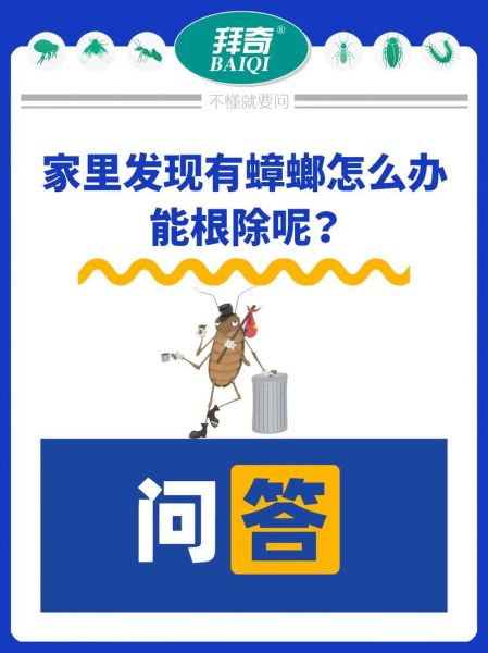 家里一旦有了蟑螂是不是根治不了,猫吃了小蟑螂怎么办