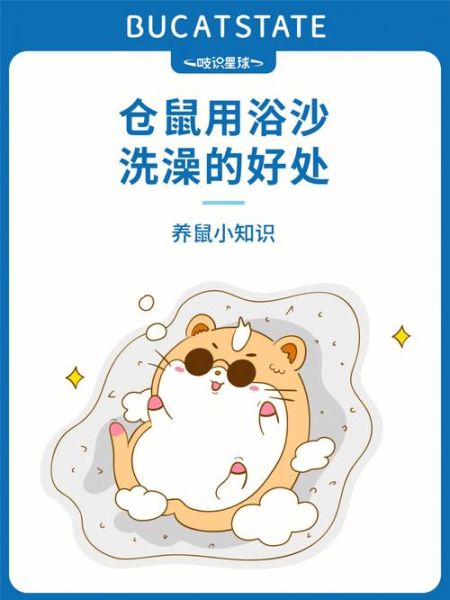 小仓鼠怎么洗澡,仓鼠能洗澡吗