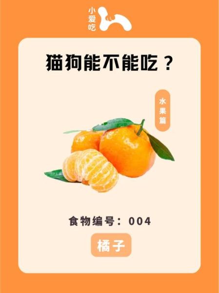 小狗可以吃橘子吗不可以,小狗可以吃橘子吗为什么不能吃