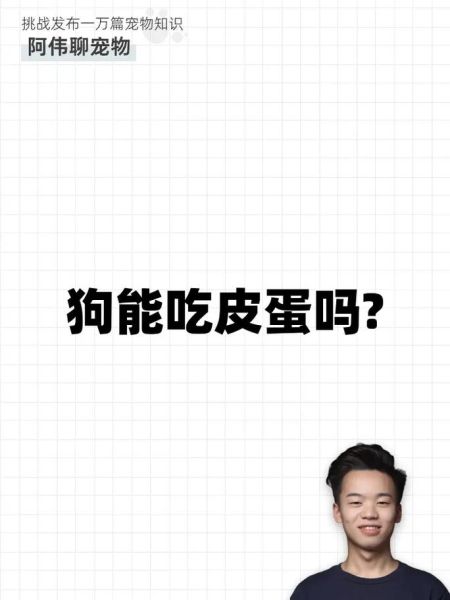 小狗狗能吃皮蛋吗,狗子能不能吃皮蛋