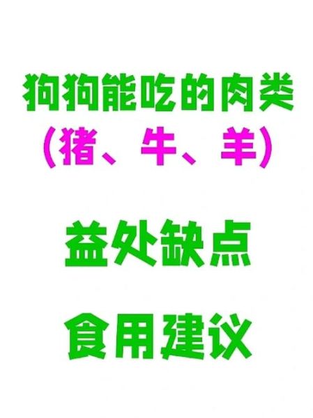 小狗能吃羊肉嘛,小狗能吃羊肉片吗
