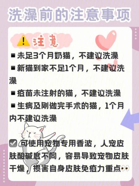 小猫几个月可以洗澡,幼猫多大可以洗澡吗