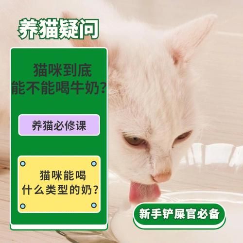 小猫喝什么奶比较好,小猫喝什么奶粉不拉稀