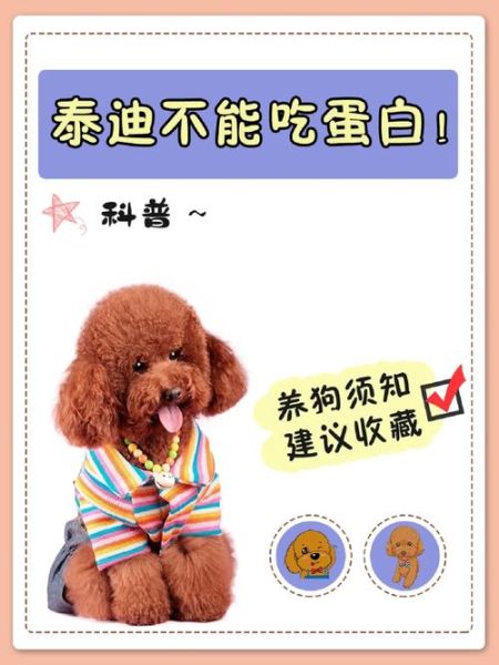 幼猫可以吃蛋黄吗熟的,泰迪幼犬可以吃蛋黄吗