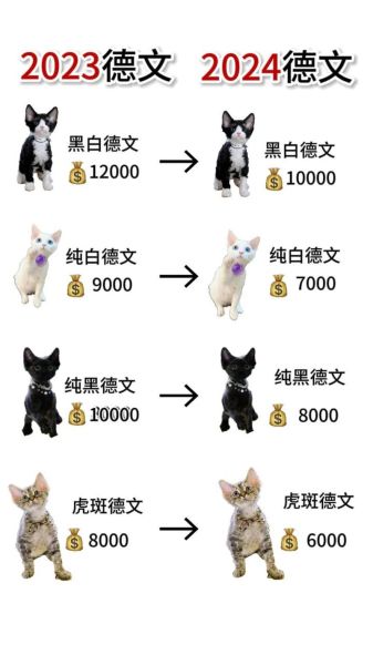 德文猫寿命一般多少年,德文卷毛猫掉毛严重吗