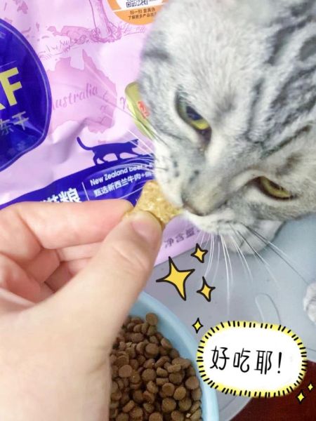 感冒能吃红枣吗,猫能吃红枣吗为什么
