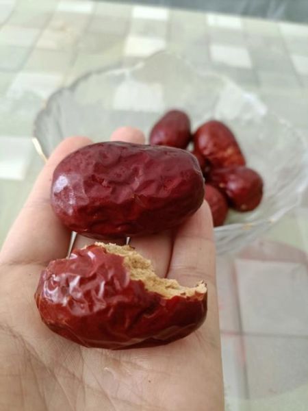 感冒能吃红枣吗,猫能吃红枣吗为什么