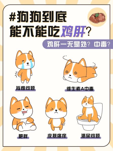 狗一天吃多少鸡肝最好,狗可以吃鸡肝吗 煮熟的