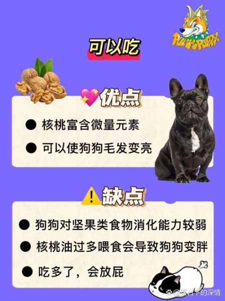 狗可以吃核桃吗熟的,狗可以吃核桃吗有毒吗