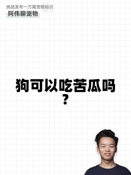 狗可以吃苦瓜吗为什么,狗能否吃苦瓜