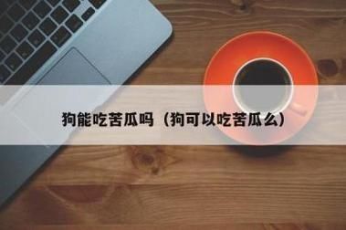 狗可以吃苦瓜吗为什么,狗能否吃苦瓜