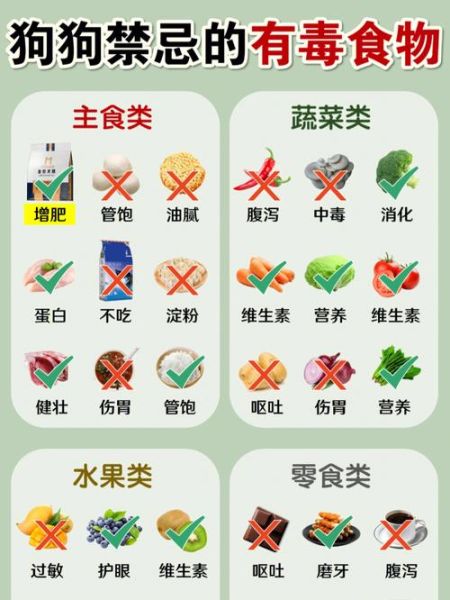 狗可以吃蚕豆么,狗狗忌口的食物一览表