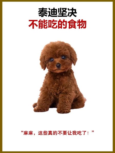 狗子可不可以吃皮蛋,狗能吃皮蛋吗为什么
